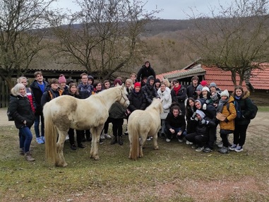 Upcycling, avagy ami az egyiknek szemét, az a másiknak...